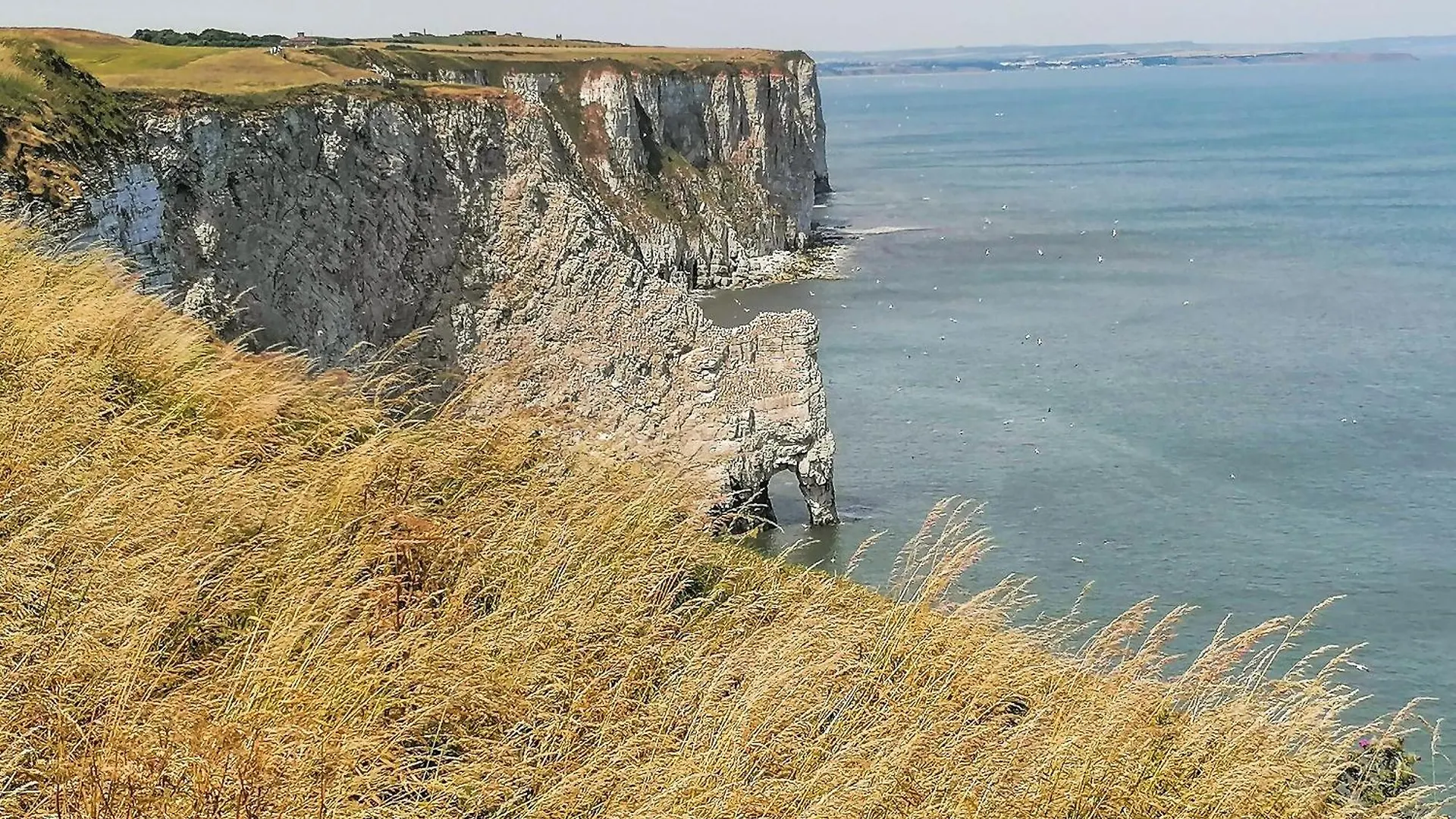 Beam Cottage Flamborough